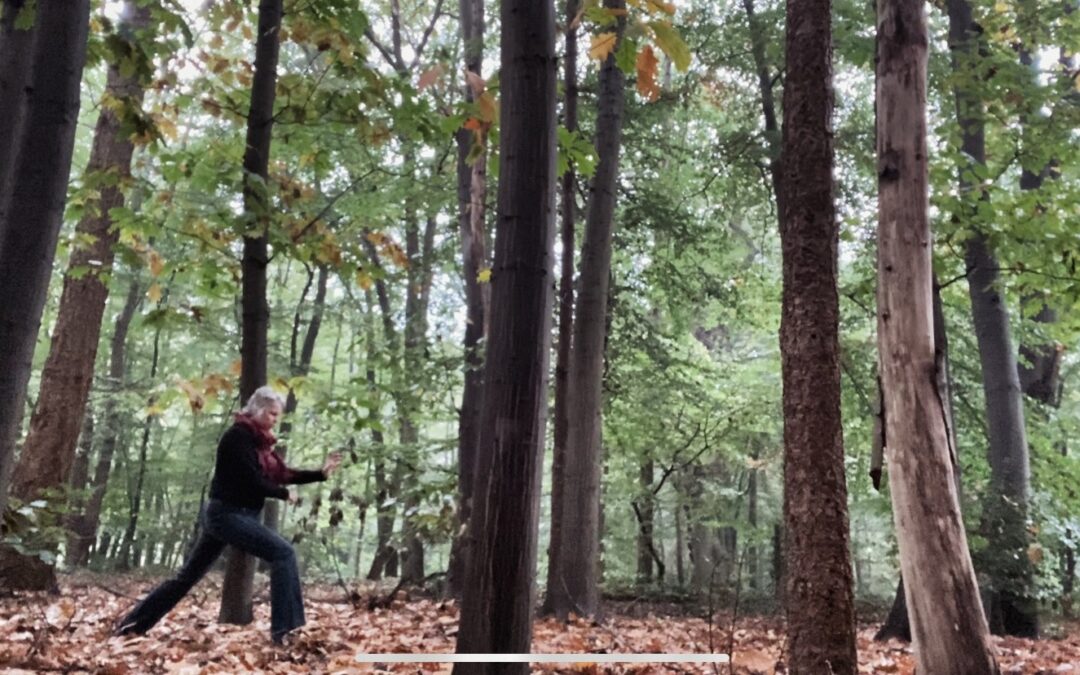 Breng je energie in balans met de Vijf Elementen