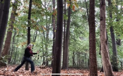 Breng je energie in balans met de Vijf Elementen