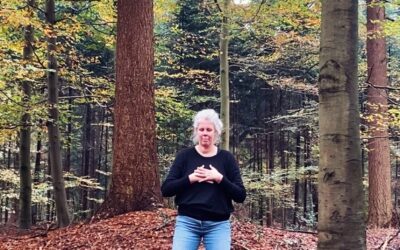 Spiritualiteit in het daoïsme: belichaming, balans en verbinding