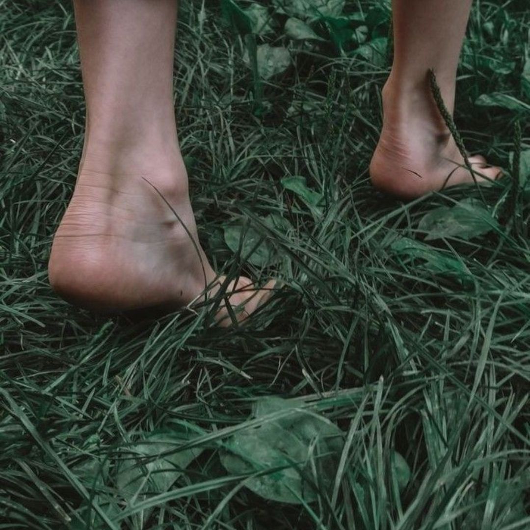 natuur met een pad in het bos, zoals de dao ons de weg wijst