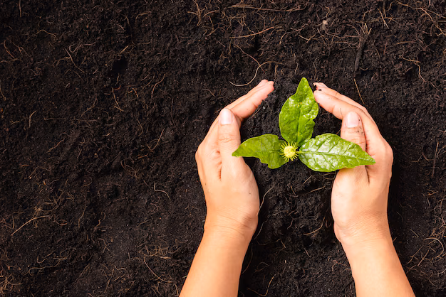 De Drie Schatten in Qigong – Jing, Qi & Shen als innerlijk kompas