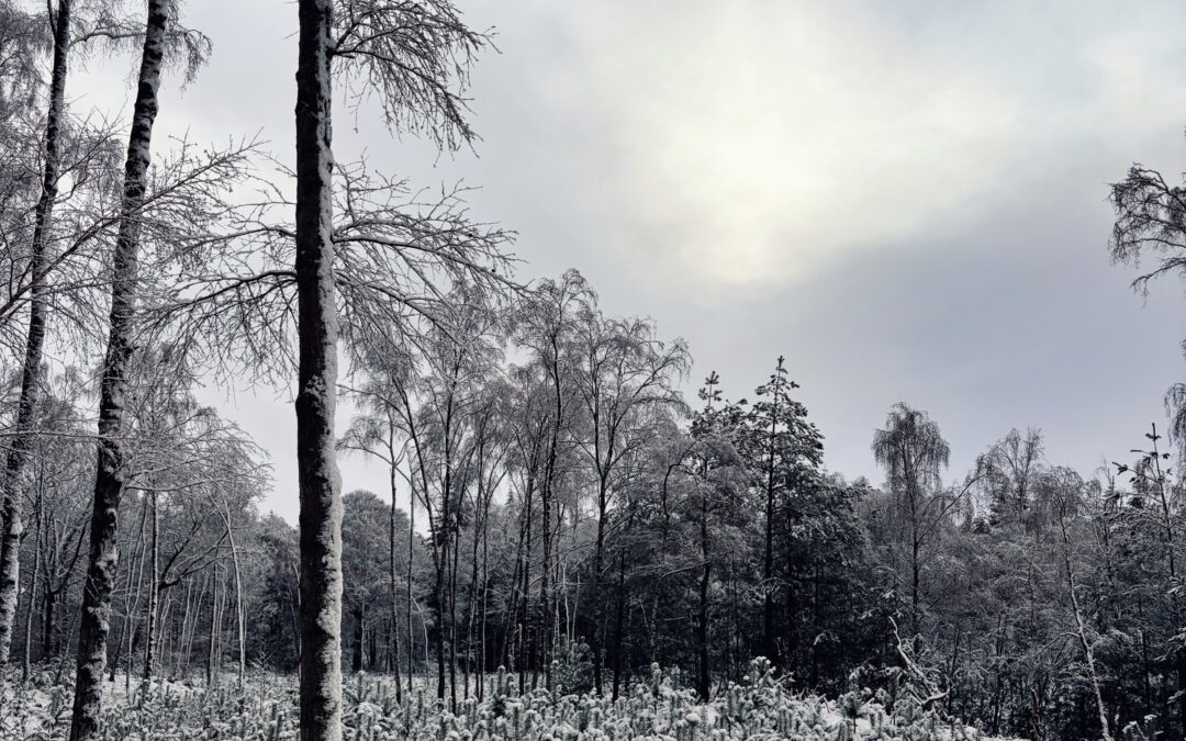 Onrust in de winter — waarom rust nemen soms niet lukt