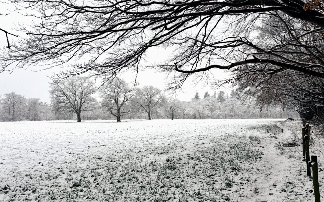 Leven vanuit je midden — een anker in de storm