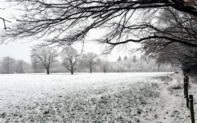 Leven vanuit je midden — een anker in de storm