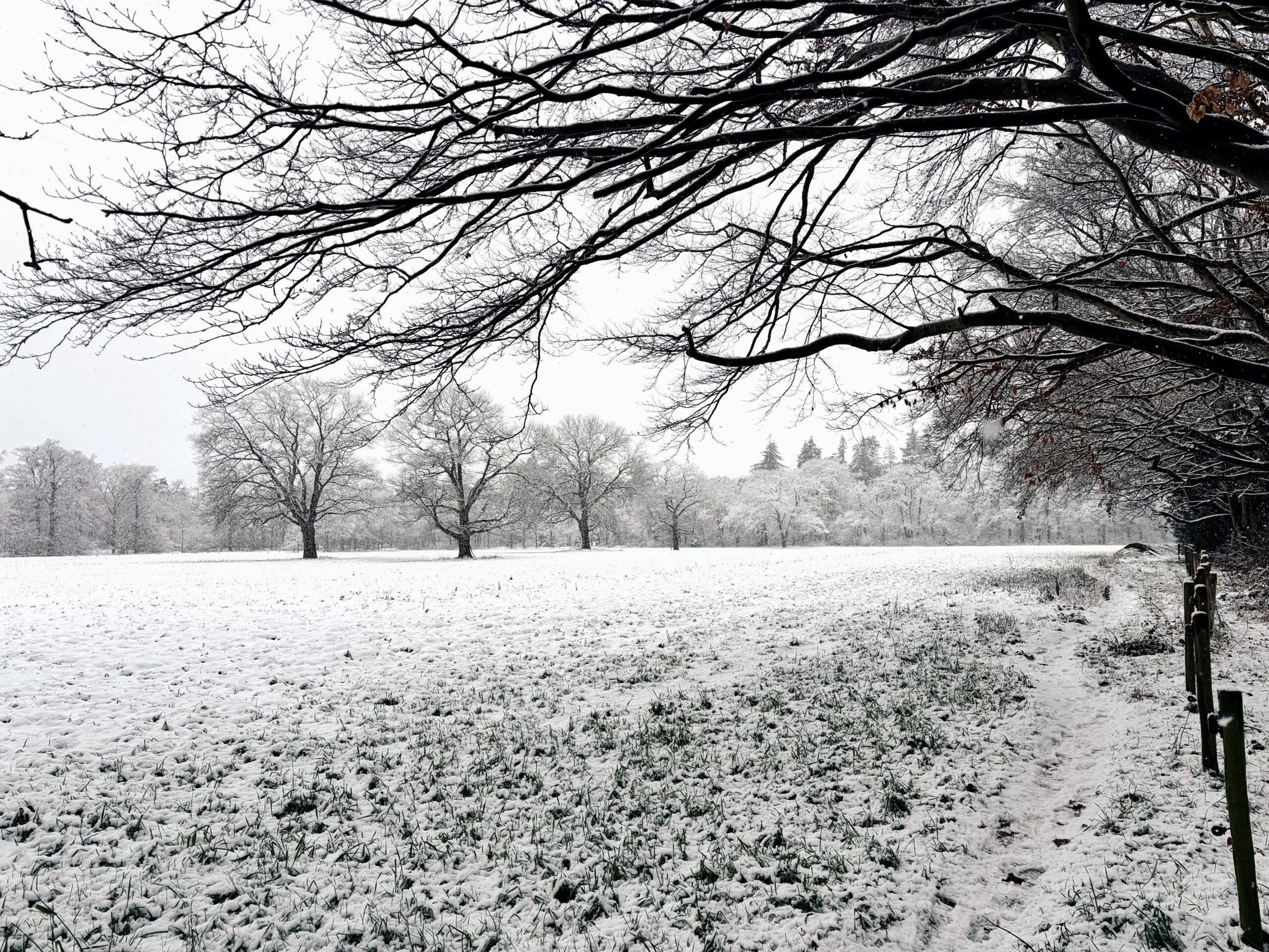 winter-2026-voornemens-yin-yang-sneeuw