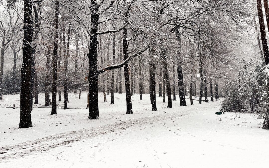 Goede voornemens zonder druk — kiezen wat je écht voedt